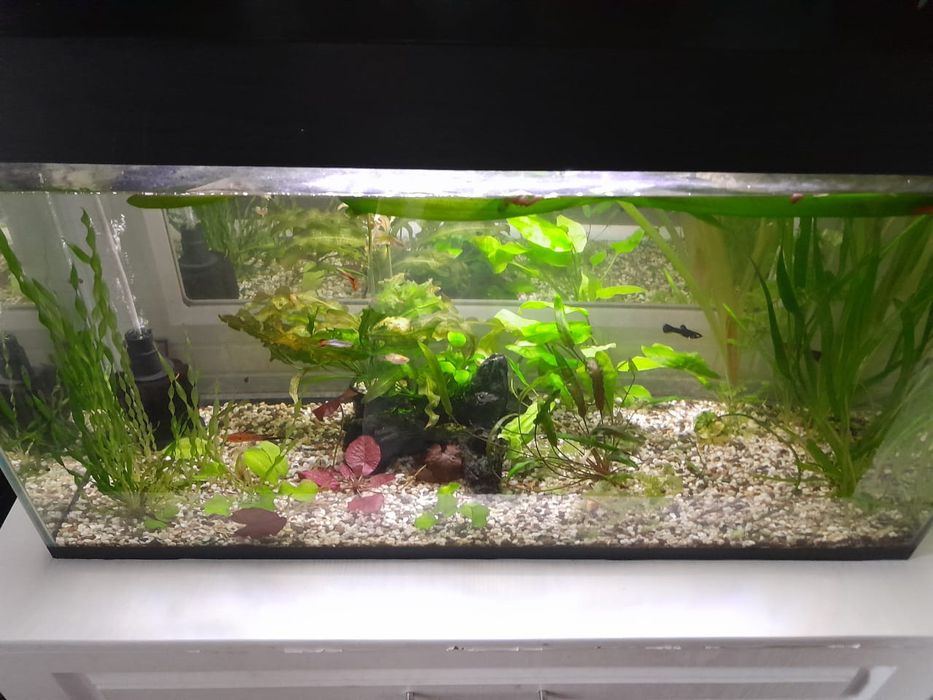 Аквариум 110 литров