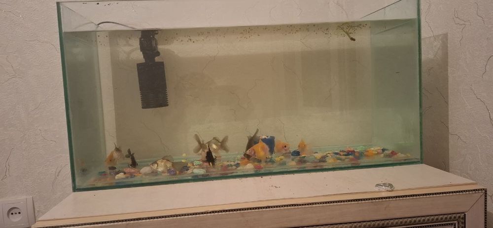 Аквариум сатылады