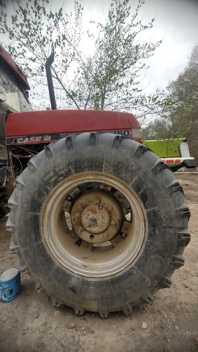 Case in 5250 xolati orta