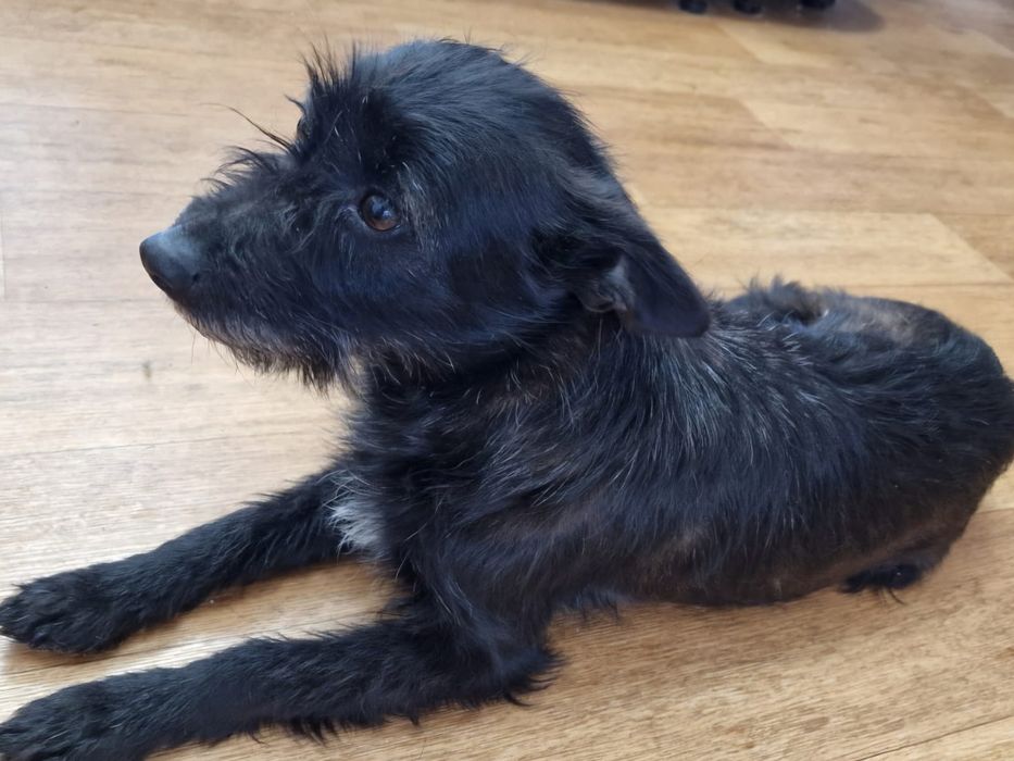 Стерильная девочка  звоночек