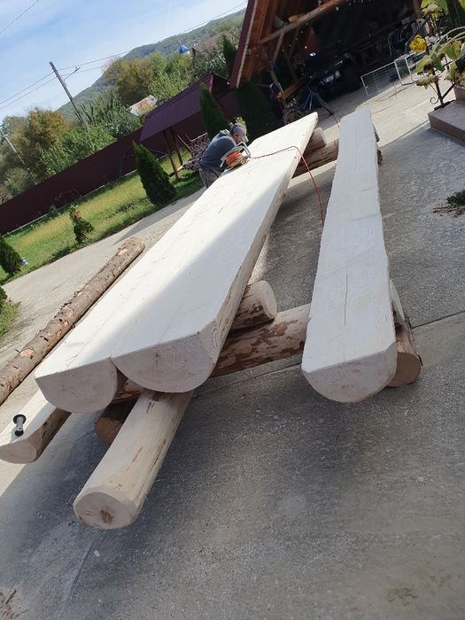 Cherestea tivita si uscată