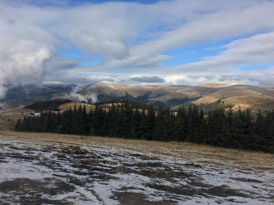 Teren Varful Roman / Ursuletu Cedare Cesiune