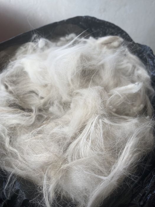 Собачий пух, шерсть