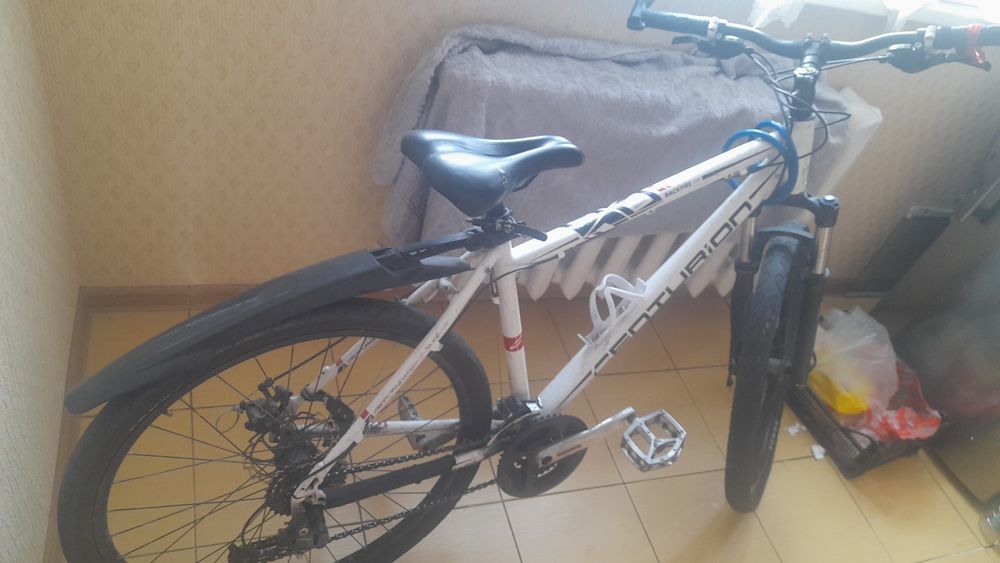 Велик сатылады срочна