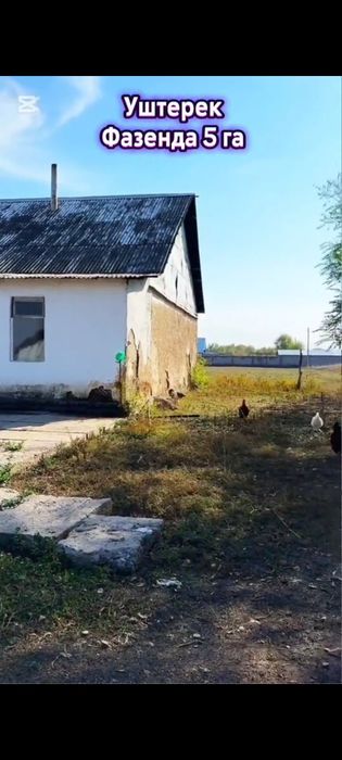 Фазенда  !  Уштерек