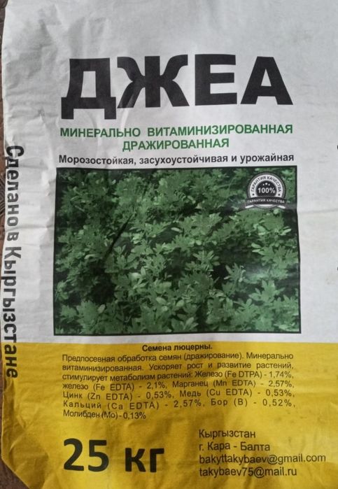 Жоңышқа ұрығы. Семена Люцерны