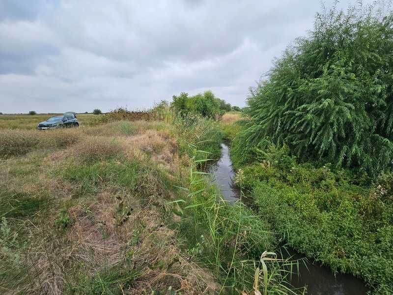 Продавам 12 дка земя в землището на с. Калековец