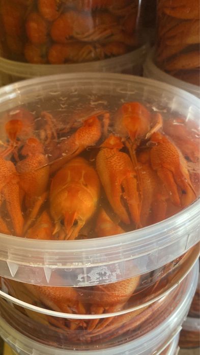 Раки каспийские вореные