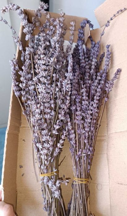 Натуральные сухоцветы