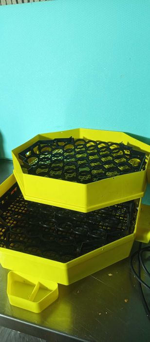 Автоматичен двуетажен инкубатор Cleo 5