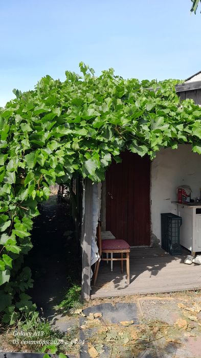 Продам дачу на 1 - Садовом обществе