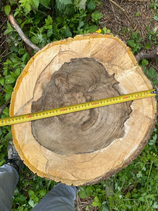 продам грецкий орех древесина