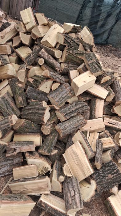 Lemne de foc  fag salcam stejar tăiate despicate paletizate