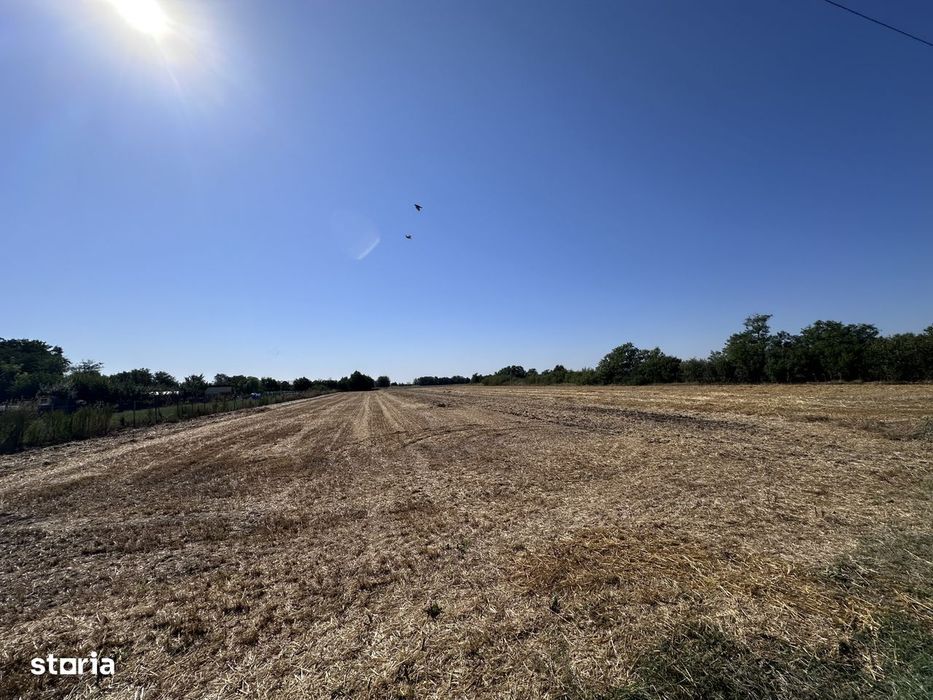 Teren de vanzare | 5.208 mp | Str. Bucegi, Creata – Dascalu