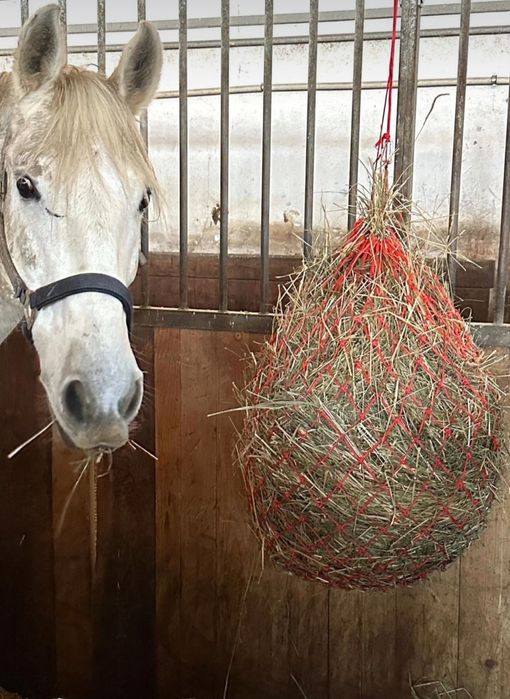 Plasa de fân pentru cai baloți