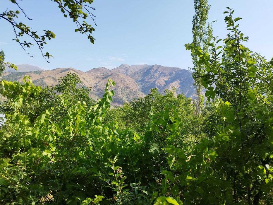 Срочно продается земельный участок с ОРДЕРом 9.54 сот {Нанай}