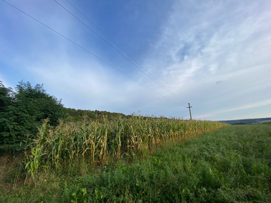 Teren intravilan de vânzare - Pătrauți, Suceava