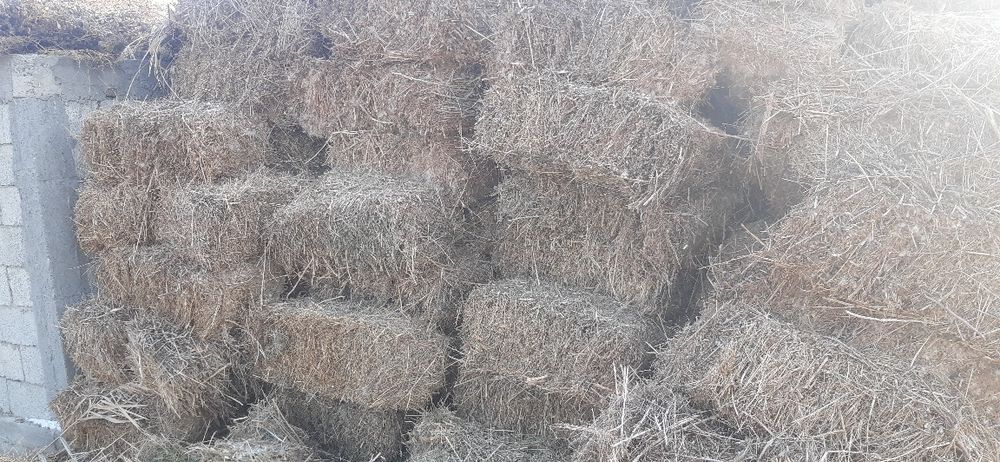 Янток ва беда прес сотилади