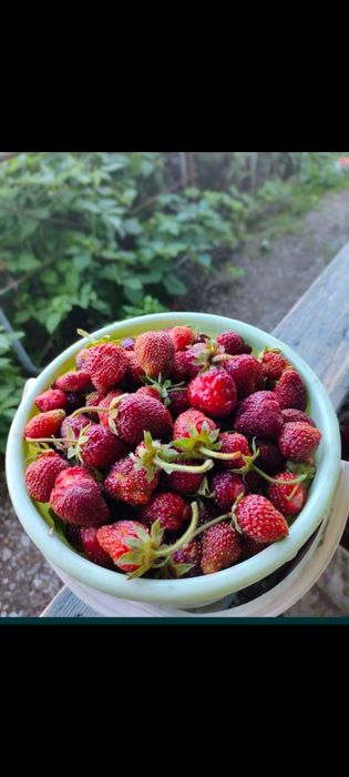 Срочно продам дачу Автомобилист