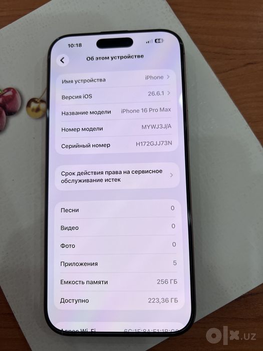 Iphone 16 pro max