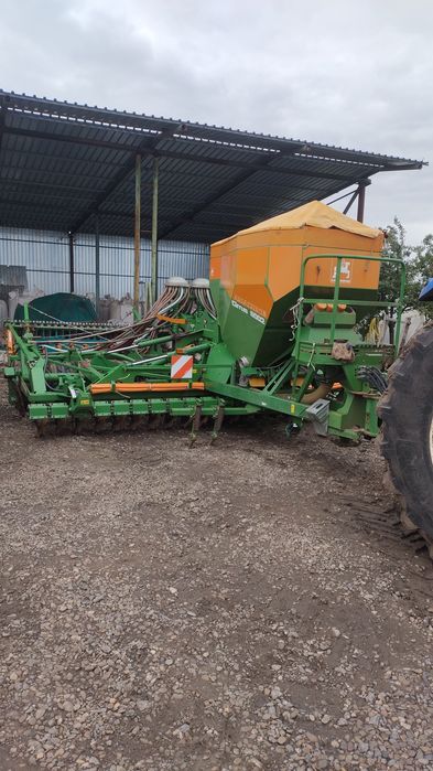 Semanatoare  amazone