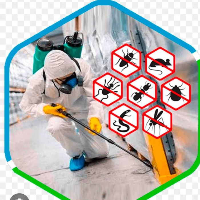 Дизенфексия киламиз Клапа таракан карши. Гарантияси бн киберамиз.