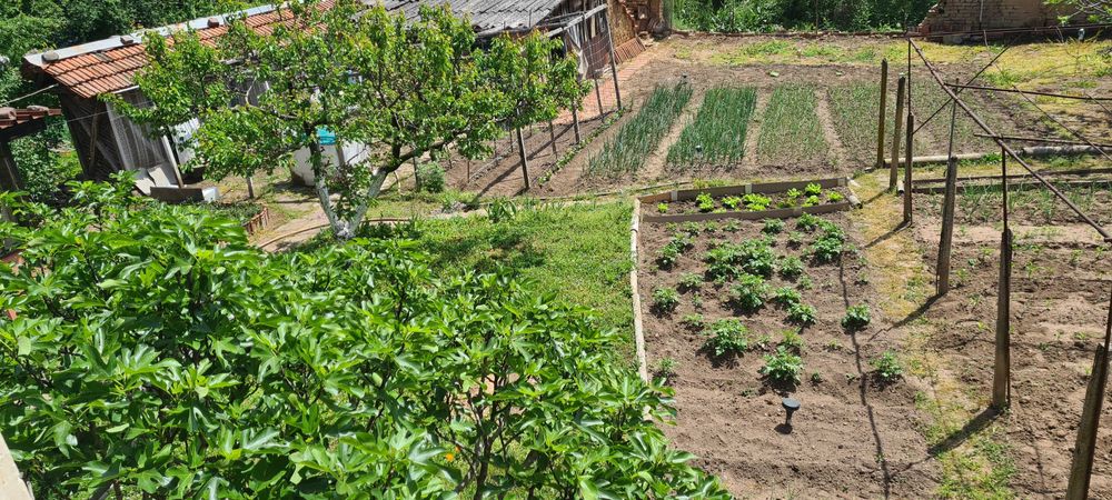 Продавам къща с двор в село Ботуня, на 20 км от гр. Враца.