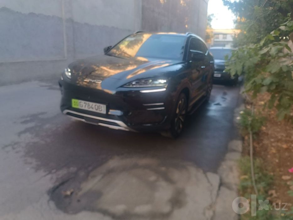Byd champion ev 550 km