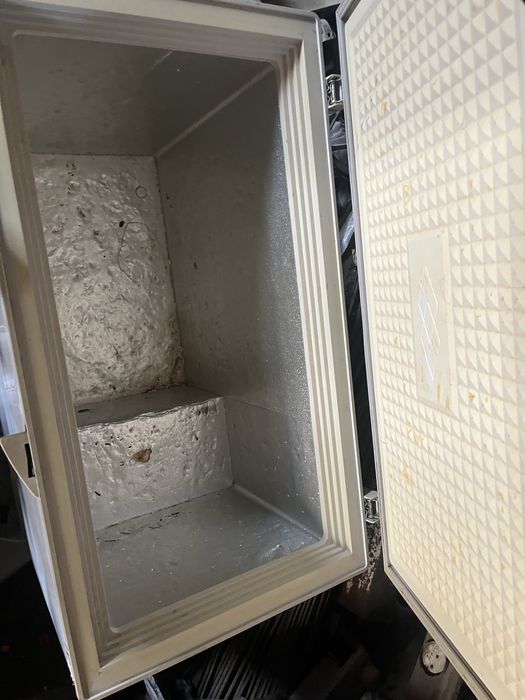 Маразильник хорошый