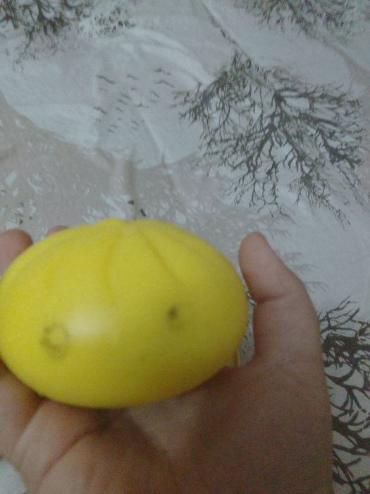 Антистрес Дамплинг