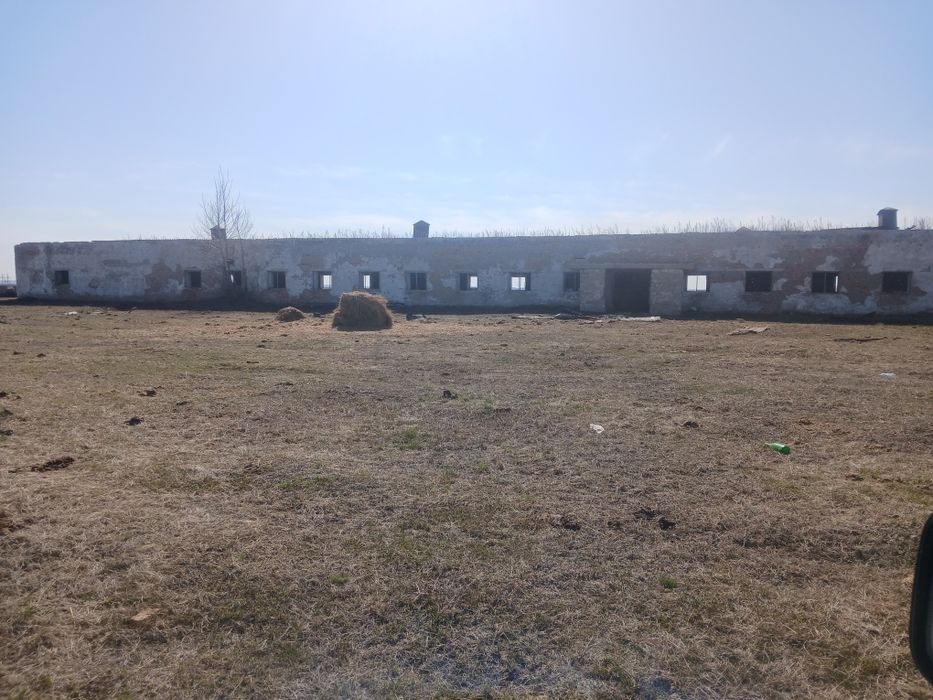 Откорм база хозяйство