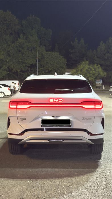 Byd champion 605