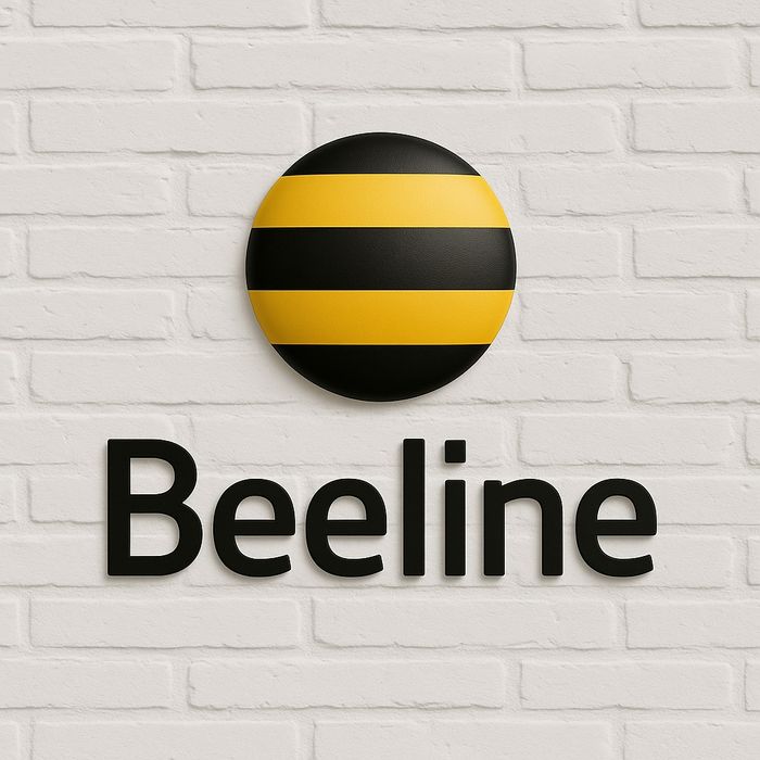 Beeline интернетін тиімді бағада сатып алыңыз!