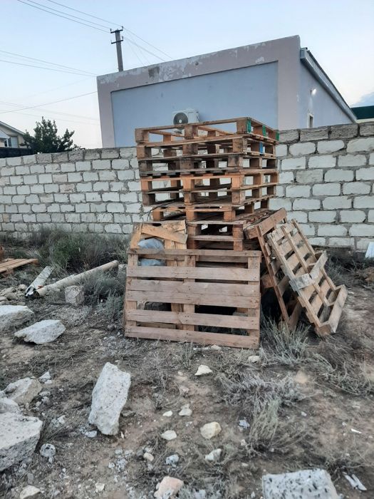 Поддондар 15 дана