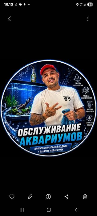Аквариумы чистка