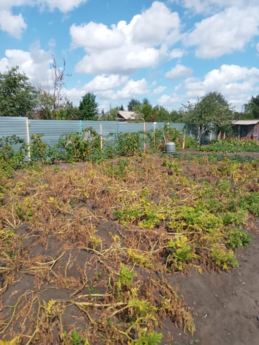 Продам дачу в чапаево