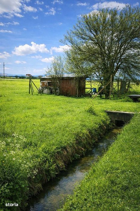 Teren intravilan 990 mp – Curteni, toate utilitatile