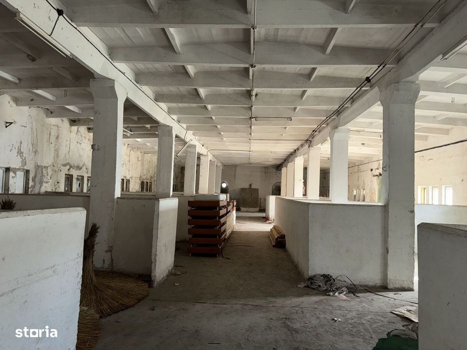 Eforie Sud Depozit Parter + Mezanin cu rampă Auto și CF