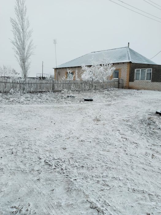 Продается хозяйство