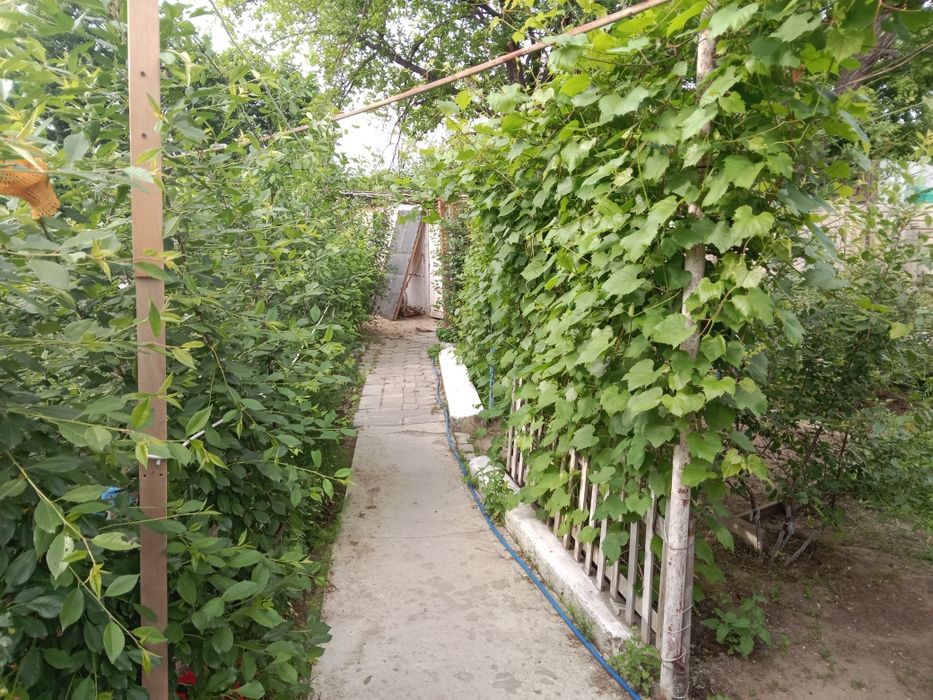 Продам дом всё условия есть