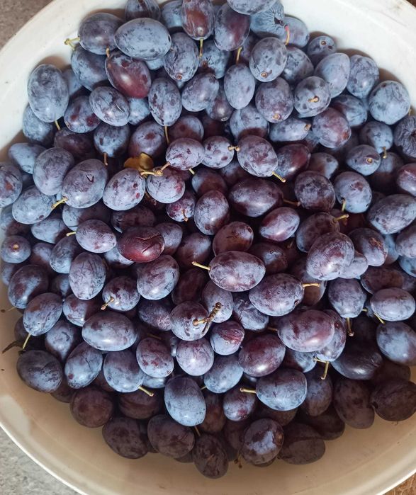 Prune bistrite pentru dulceata sau compot