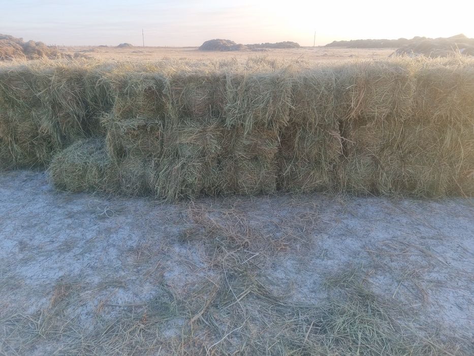 Сено ТЮКАХ Луговое