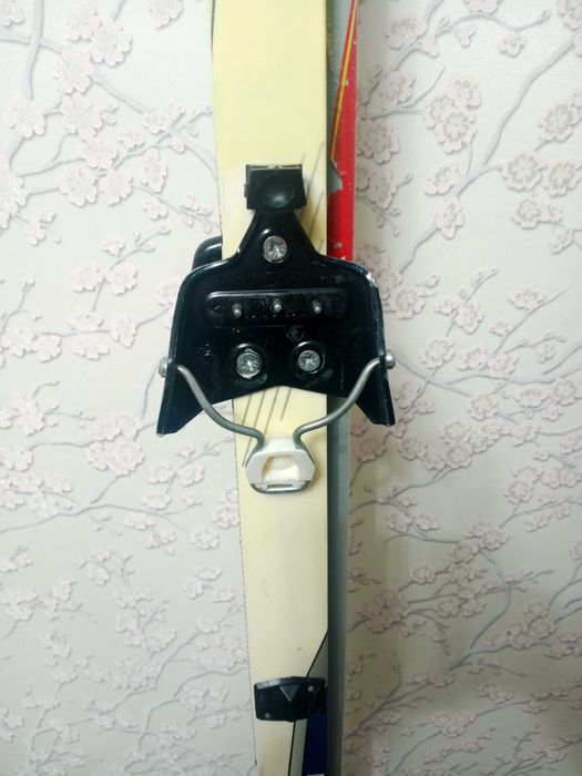 Лыжи и лыжные палки