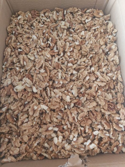 Miez nuca productie 2025