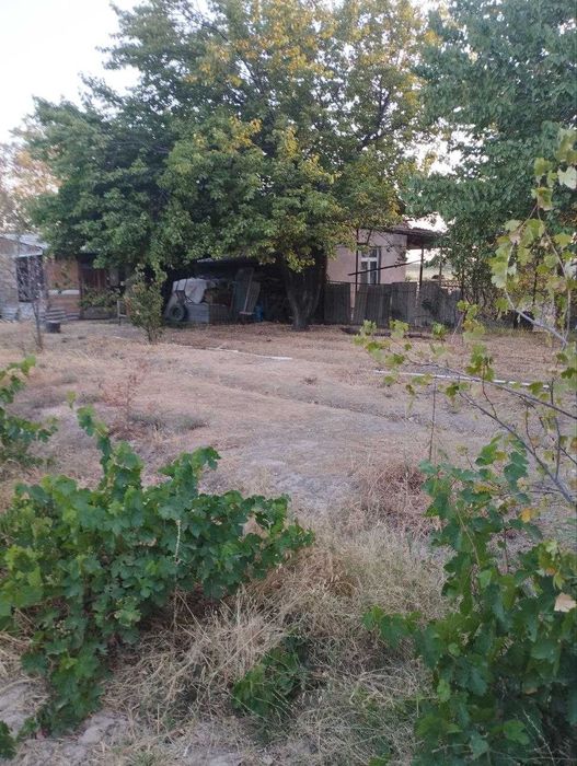 Дала Ховли 10,5 соток