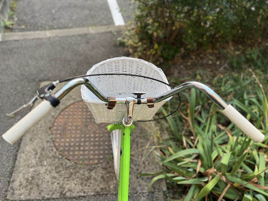 Bicicleta Cruiser retro Carpat