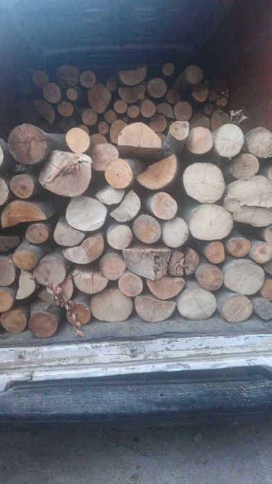 Vand lemn de Foc Fag esenta tare