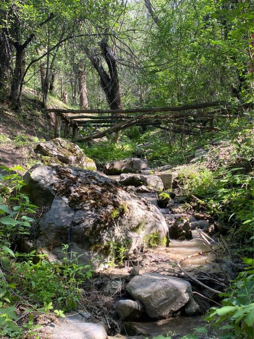 Супер Фазенду продам