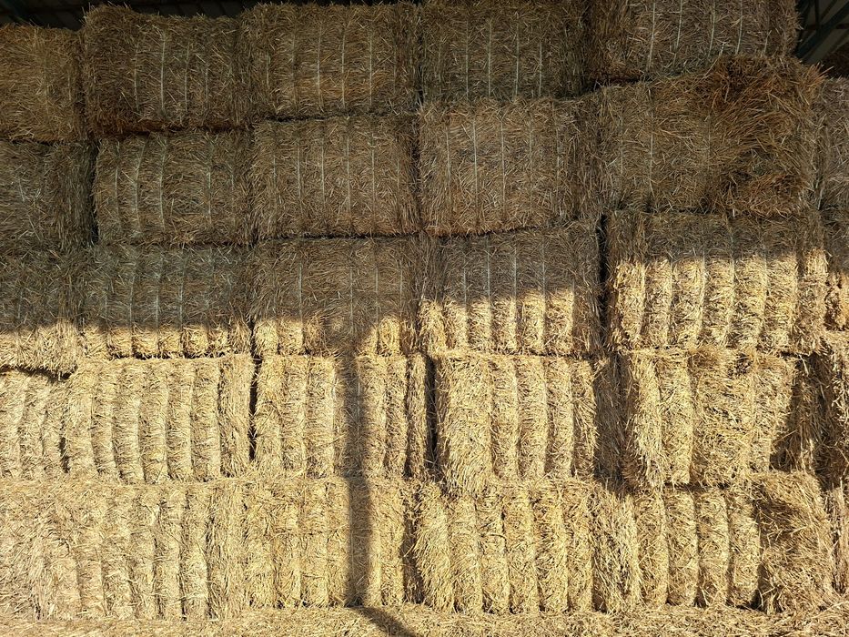 Baloti paie dreptunghiulari mici si mari/presa/balotiera KRONE big pack/tract0r deutz 275cp