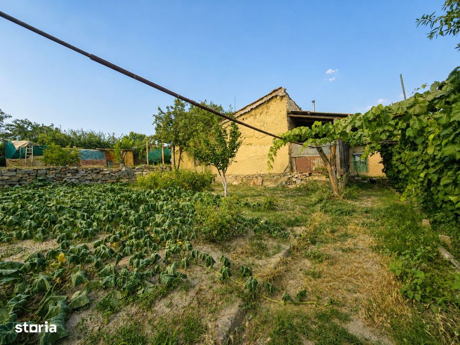Casă + teren 1.400 mp | Cerna, Tulcea | Aproape de Munții Măcinului
